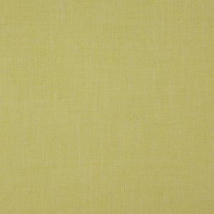 Strata Palm by RM CoCo Fabric