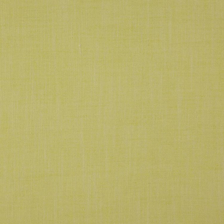 Strata Palm by RM CoCo Fabric