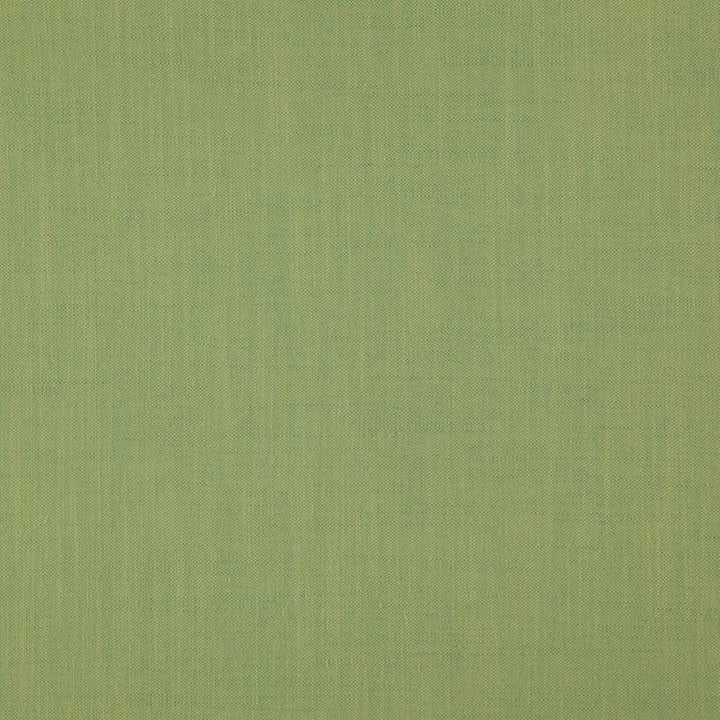 Strata Basil by RM CoCo Fabric