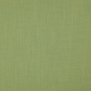 Strata Basil by RM CoCo Fabric