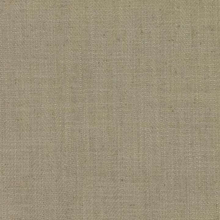 Barrister Sandstone by RM CoCo Fabric