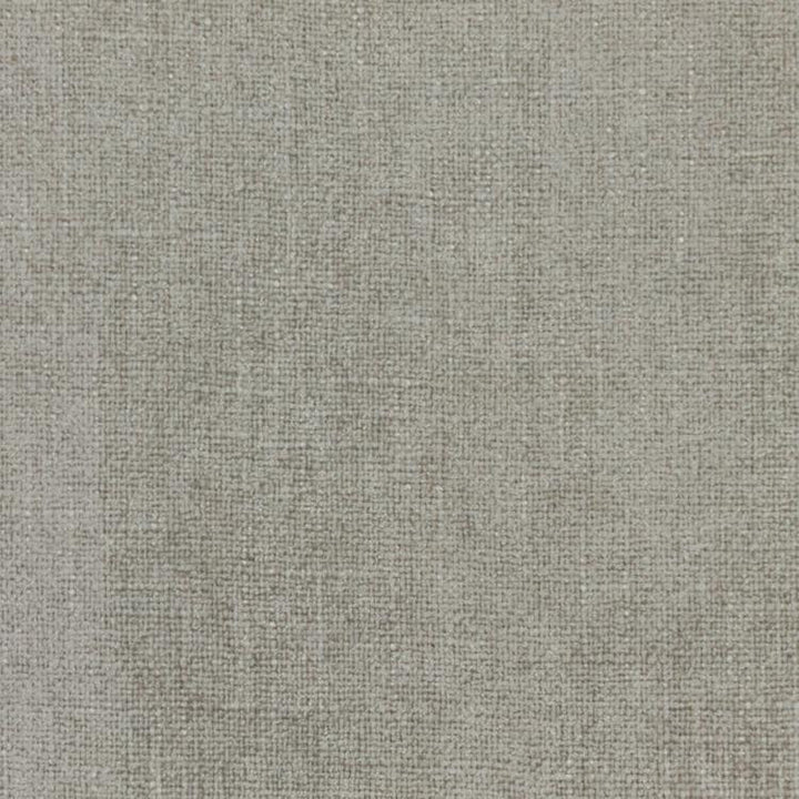 Cortland Zinc by RM CoCo Fabric