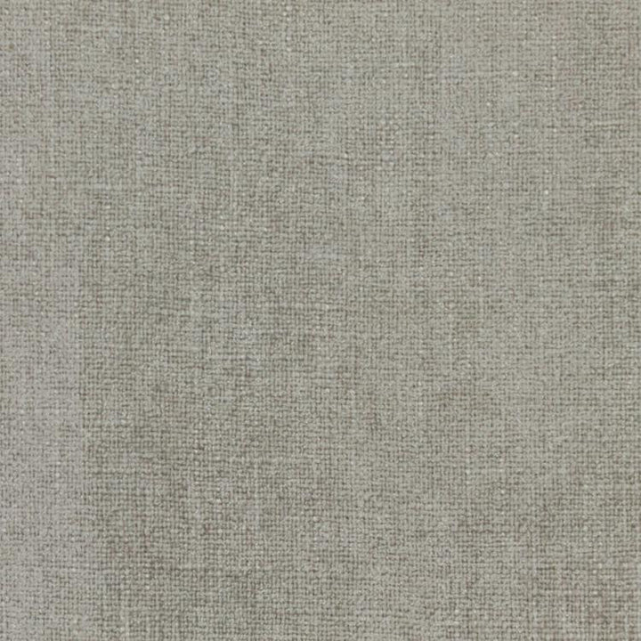Cortland Zinc by RM CoCo Fabric