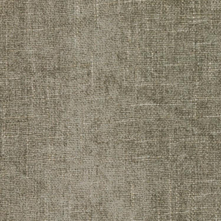 Cortland Stainless by RM CoCo Fabric