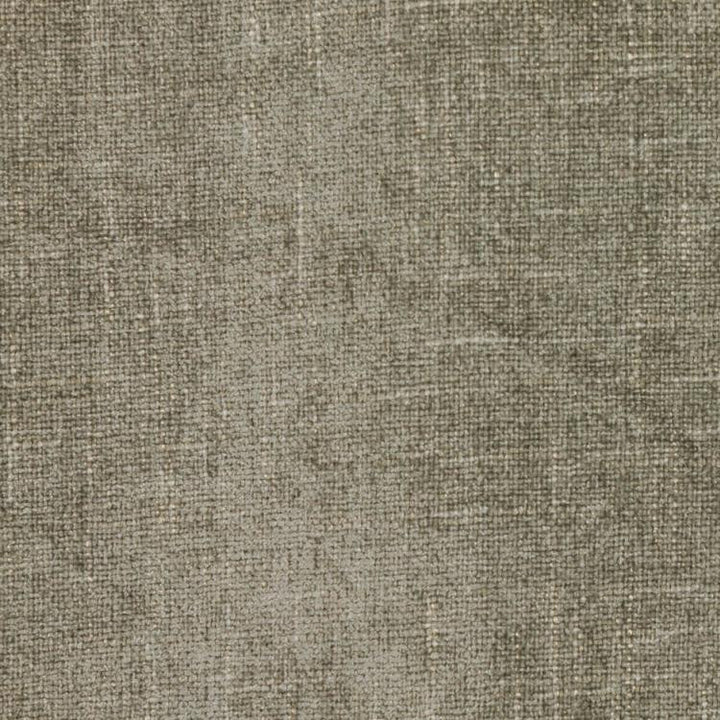 Cortland Stainless by RM CoCo Fabric
