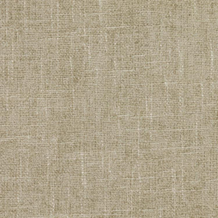 Cortland Sandstone by RM CoCo Fabric