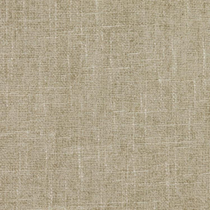 Cortland Sandstone by RM CoCo Fabric