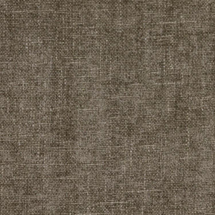Cortland Ash by RM CoCo Fabric