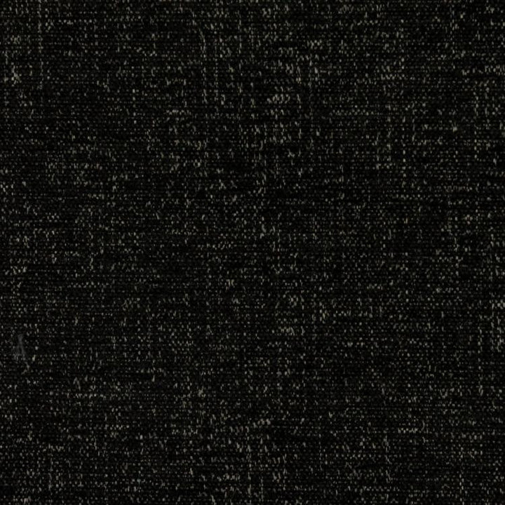 Well Suited Onyx by RM CoCo Fabric
