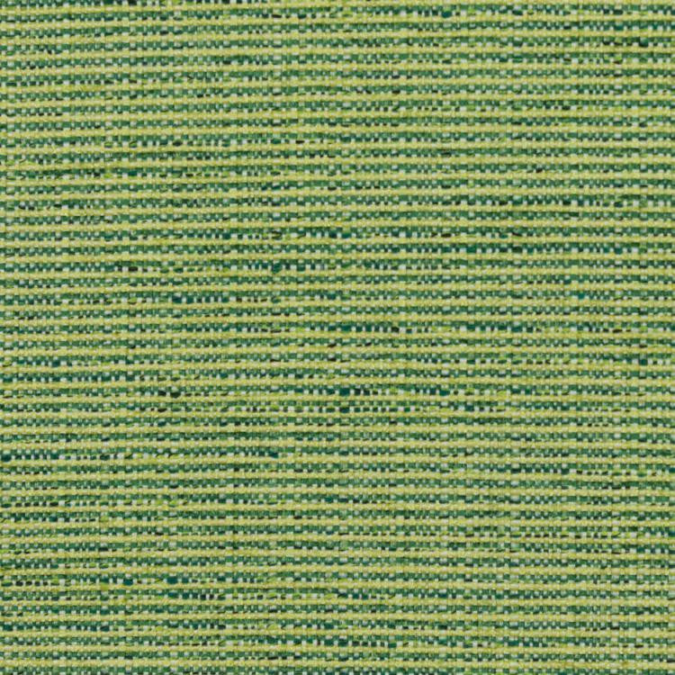 Bronco Citrus by RM CoCo Fabric