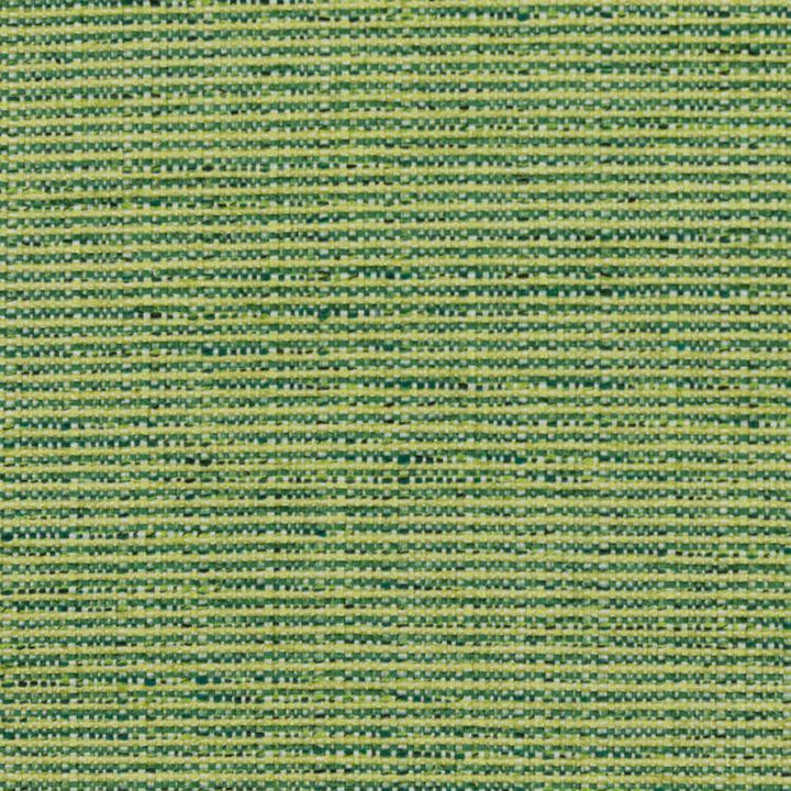Bronco Citrus by RM CoCo Fabric