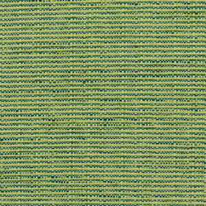 Bronco Citrus by RM CoCo Fabric