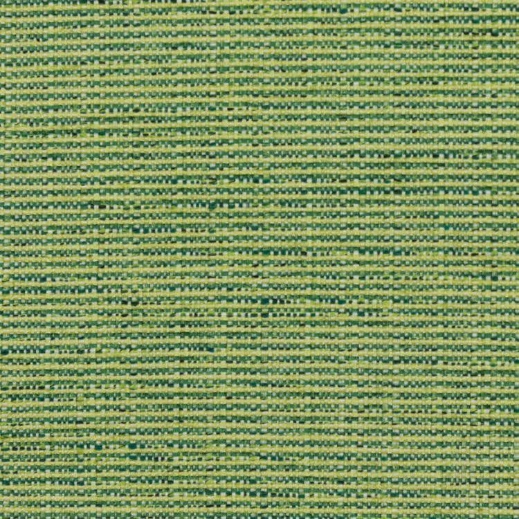 Bronco Citrus by RM CoCo Fabric