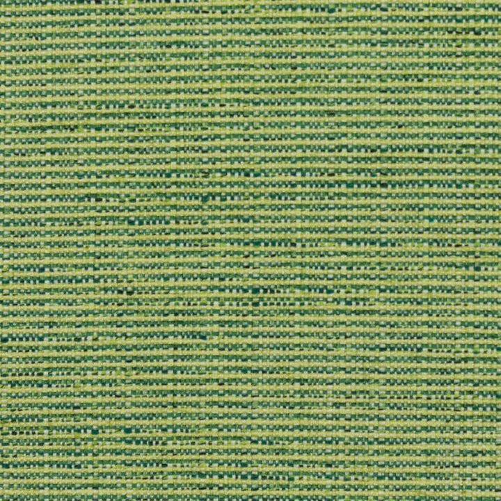 Bronco Citrus by RM CoCo Fabric