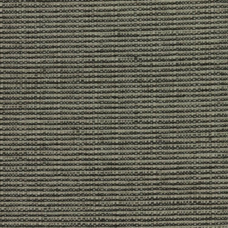 Bronco Pewter by RM CoCo Fabric
