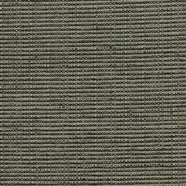 Bronco Pewter by RM CoCo Fabric