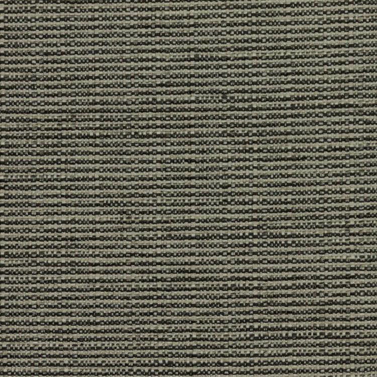 Bronco Pewter by RM CoCo Fabric