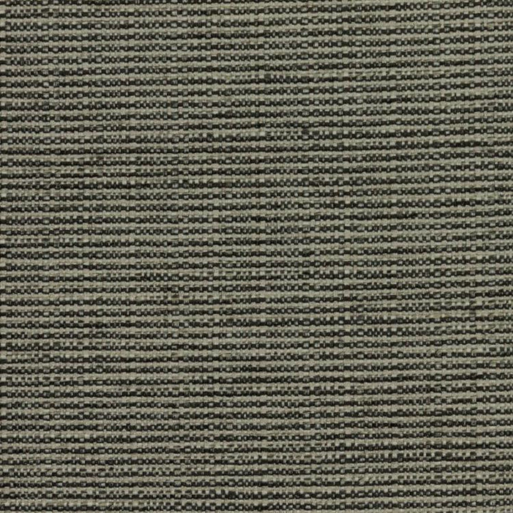 Bronco Pewter by RM CoCo Fabric