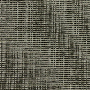 Bronco Pewter by RM CoCo Fabric