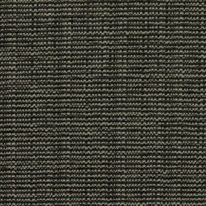 Bronco Nightfall by RM CoCo Fabric