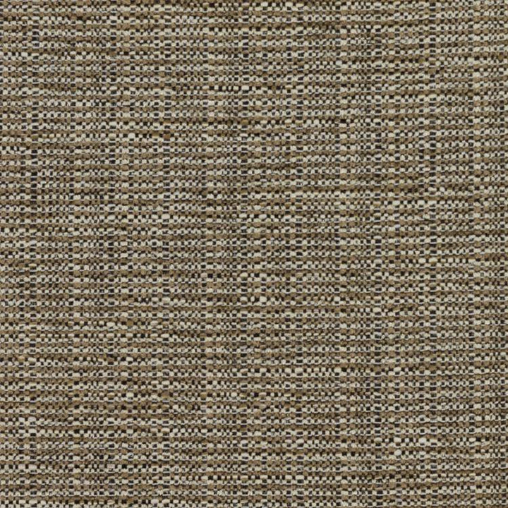 Bronco Driftwood by RM CoCo Fabric