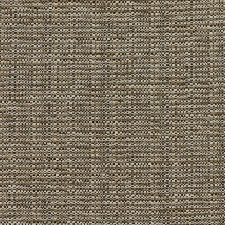Bronco Driftwood by RM CoCo Fabric