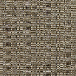 Bronco Driftwood by RM CoCo Fabric