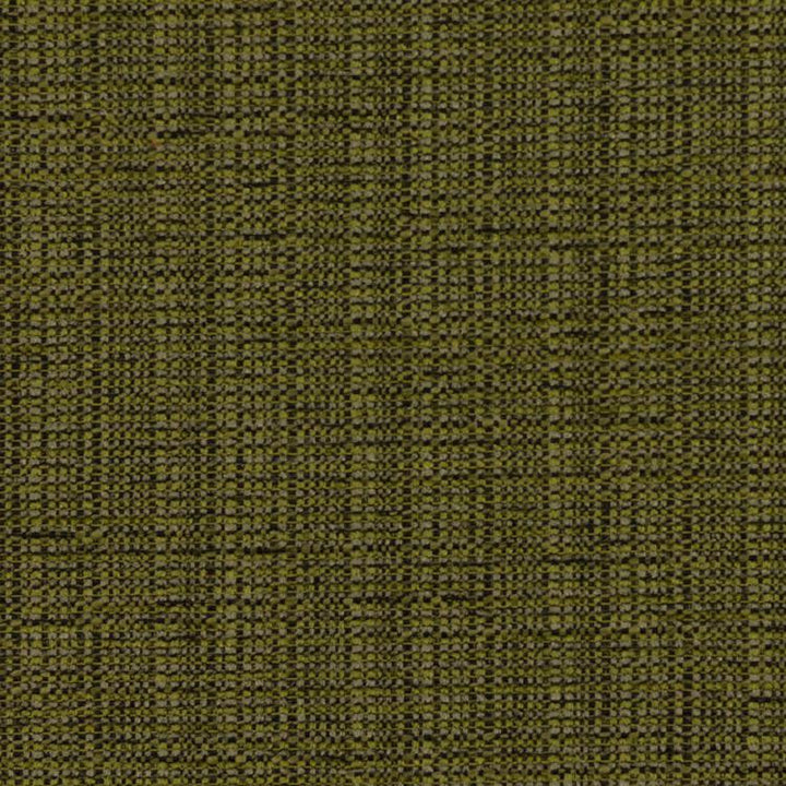 Bronco Olive by RM CoCo Fabric