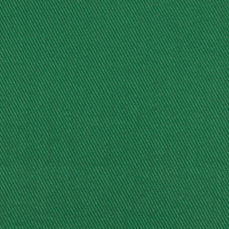 TRIESTE TWILL IVY by RM CoCo Fabric