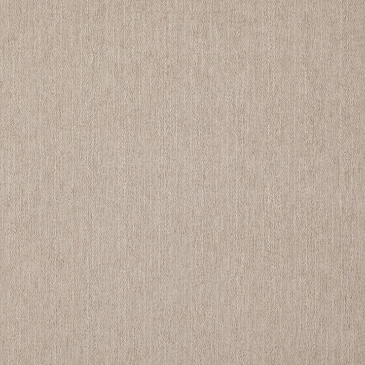 Clubhouse Sand by RM CoCo Fabric