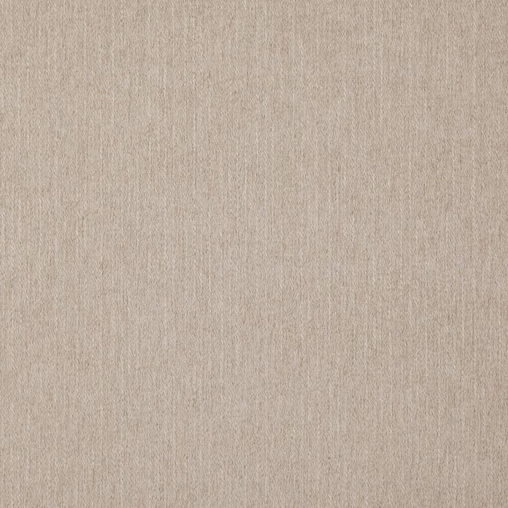 Clubhouse Sand by RM CoCo Fabric