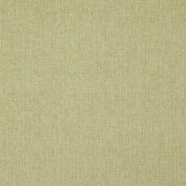 Clubhouse Pistachio by RM CoCo Fabric