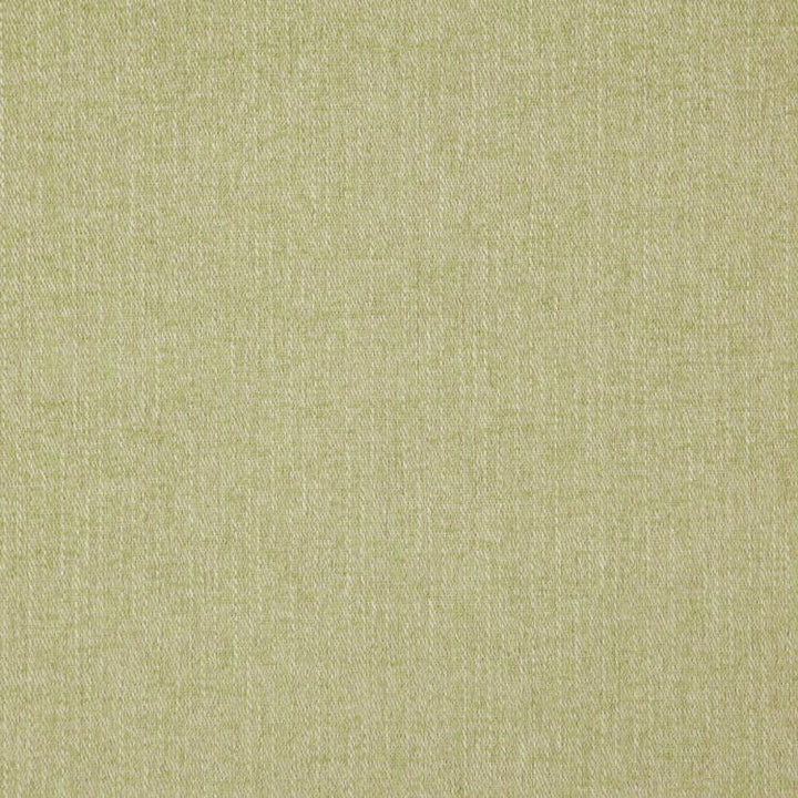 Clubhouse Pistachio by RM CoCo Fabric