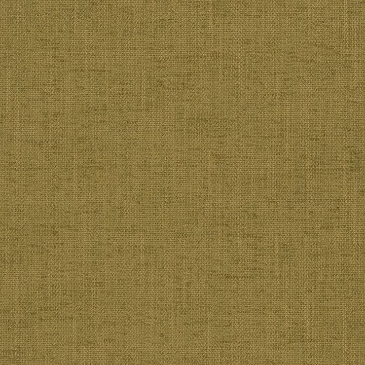 1321 Fern by Charlotte Fabric Ring Book Page #32A 100% Woven Polyester Asia Exceeds 100,000 Wyzenbeek Rubs (Heavy Duty) </p><p>Repeat: 54 Inches - Fabric Carolina -