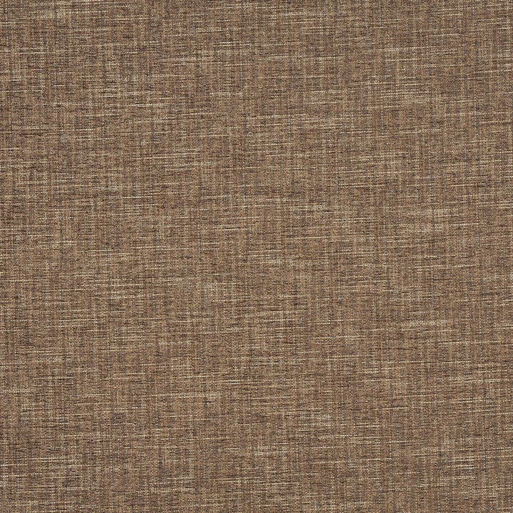 1322 Mesquite by Charlotte Fabric Ring Book Page #32A 100% Woven Polyester Asia Exceeds 100,000 Wyzenbeek Rubs (Heavy Duty) No Repeat 54 Inches - Fabric Carolina -