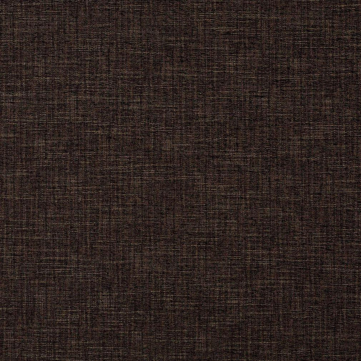 1325 Espresso by Charlotte Fabric Ring Book Page #32A 100% Woven Polyester Asia Exceeds 100,000 Wyzenbeek Rubs (Heavy Duty) </p><p>Repeat: No Repeat 54 Inches - Fabric Carolina -