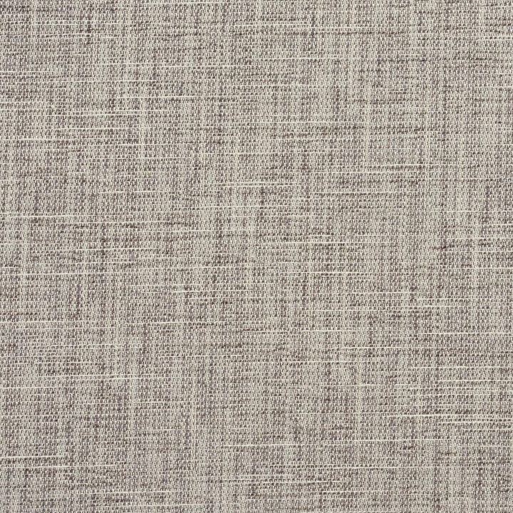 1326 Flannel by Charlotte Fabric Ring Book Page #32A 100% Woven Polyester Asia Exceeds 100,000 Wyzenbeek Rubs (Heavy Duty) No Repeat 54 Inches - Fabric Carolina -