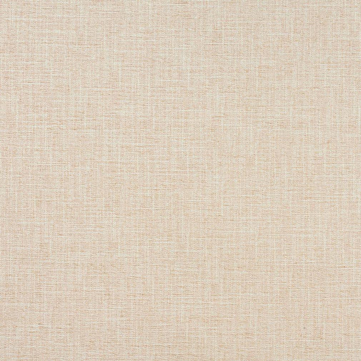 1328 Cream by Charlotte Fabric Ring Book Page #32A 100% Woven Polyester Asia Exceeds 100,000 Wyzenbeek Rubs (Heavy Duty) No Repeat 54 Inches - Fabric Carolina -