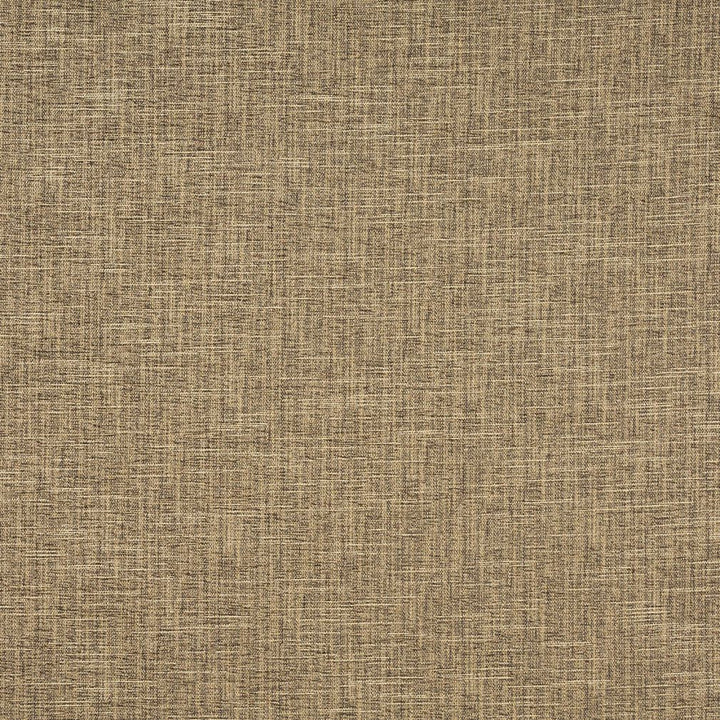 1330 Mushroom by Charlotte Designer Fabric Ring Book Page #32A 100% Woven Polyester Asia Exceeds 100,000 Wyzenbeek Rubs (Heavy Duty) No Repeat 54 Inches - Swanky Fabrics -