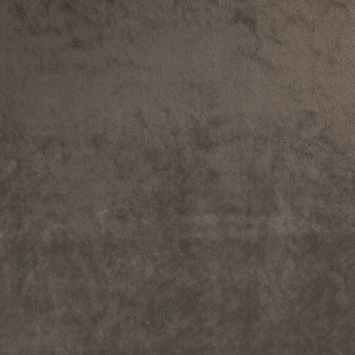 Soiree Thunder by RM CoCo Fabric