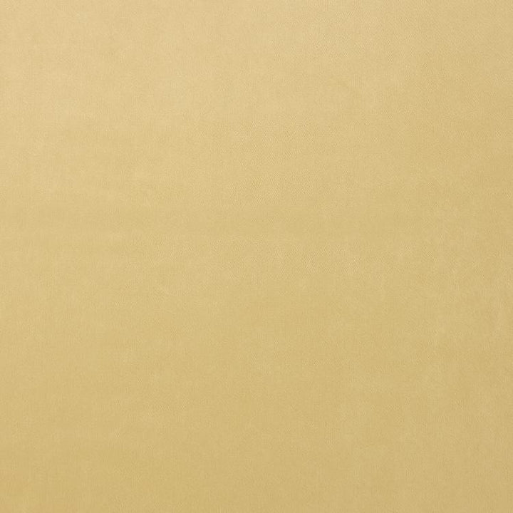 Soiree Honey by RM CoCo Fabric
