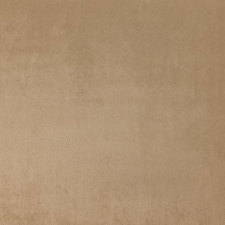 Soiree Almond by RM CoCo Fabric