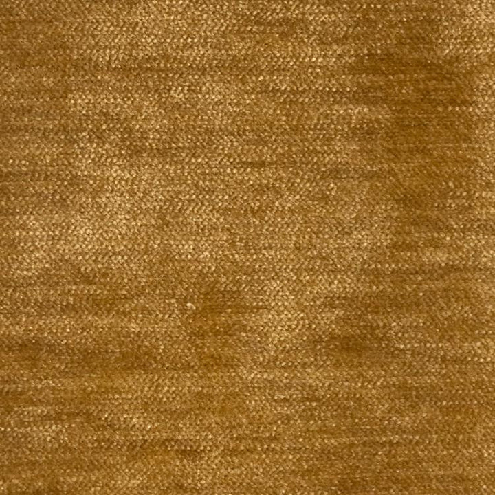Maison Royale Brass by RM CoCo Fabric