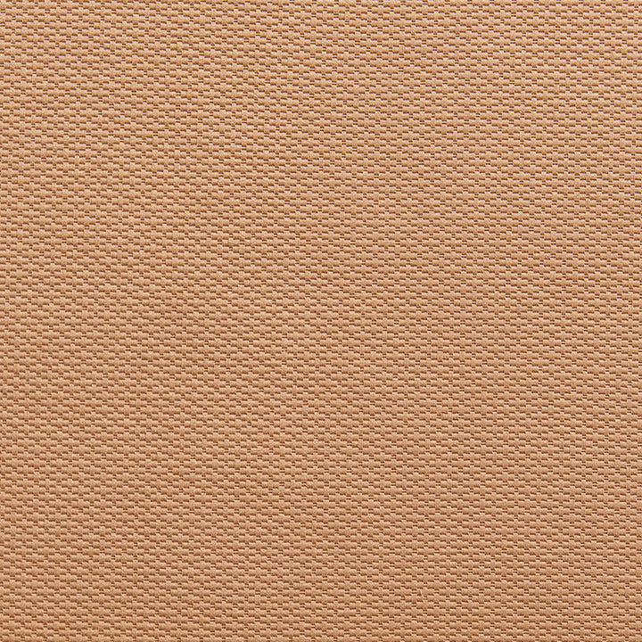 1341 Cashew by Charlotte Fabric Ring Book Page #29A 55% Cotton, 45% Polyester Taiwan Exceeds 50,000 Wyzenbeek Rubs (Heavy Duty) </p><p>Repeat: 54 Inches - Fabric Carolina -