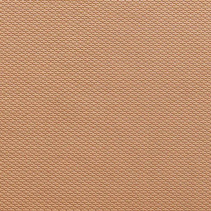 1341 Cashew by Charlotte Designer Fabric Ring Book Page #29A 55% Cotton, 45% Polyester Taiwan Exceeds 50,000 Wyzenbeek Rubs (Heavy Duty) No Repeat 54 Inches - Swanky Fabrics -