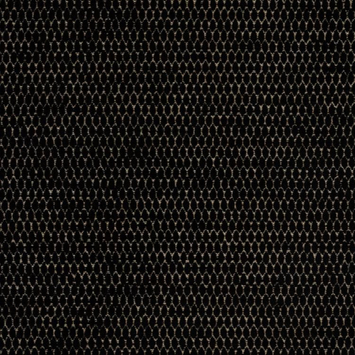 Stockard Noir by RM CoCo Fabric
