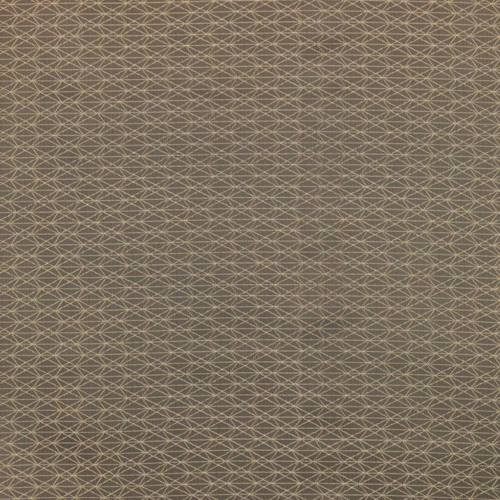 Ice Crystals Hazelnut by RM CoCo Fabric