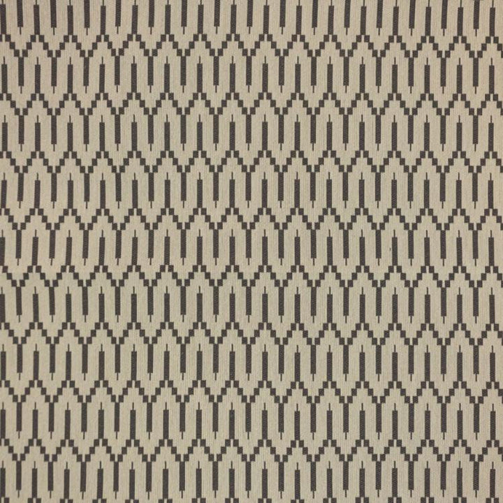Katmai Carbon by RM CoCo Fabric