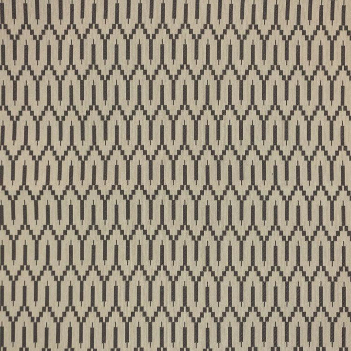 Katmai Carbon by RM CoCo Fabric