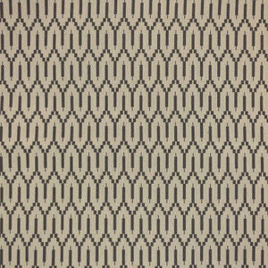 Katmai Carbon by RM CoCo Fabric